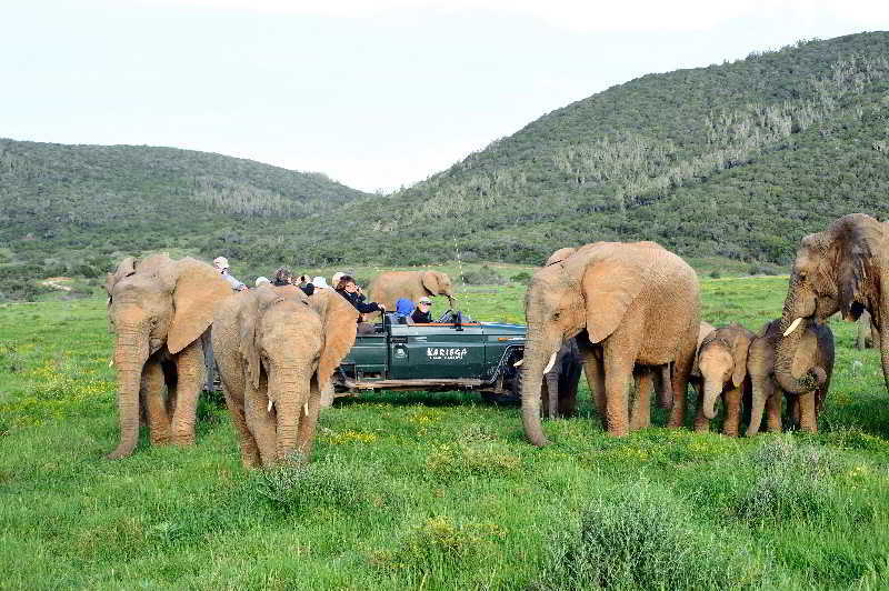 Kariega Game Reserve Bushman's River Mouth Buitenkant foto