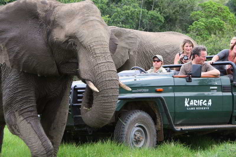 Kariega Game Reserve Bushman's River Mouth Buitenkant foto